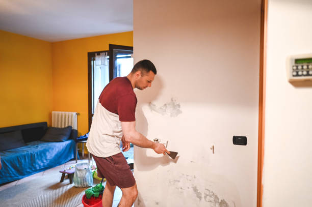 Best Mold Testing  in Shallowater, TX